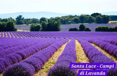 Piccolo Cottage Country Oasi di Pace - Foto 16