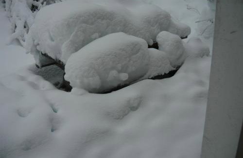 chalet des pierres opalines - Photo 23