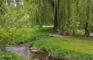 Le Calme à la source - Foto 15