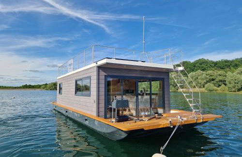 Bateau panoramique sans permis Lac du Der - Nemours - Foto 1