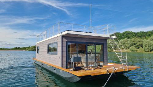 Bateau panoramique sans permis Lac du Der - Nemours - Foto 1