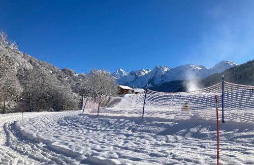 Cabane pour vos vacances à 190m du lac d’Annecy - Foto 42