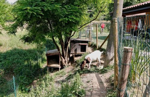 Agriturismo Terra e Lago d'Iseo Franciacorta - Foto 126