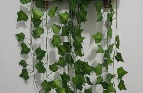 FLAT 1- Locação Temporada Centro Itapira - Photo 12