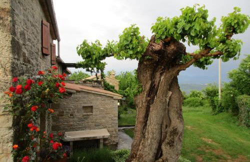 Agroturizam Nežić - Foto 18