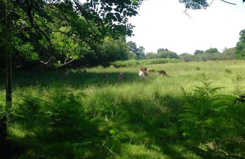 Bayside at 9 The Dome Barton on Sea - Photo 31