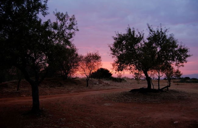 Morgado do Quintao - Foto 68