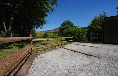 Lavender Retreat with Private Hot Tub - Photo 5