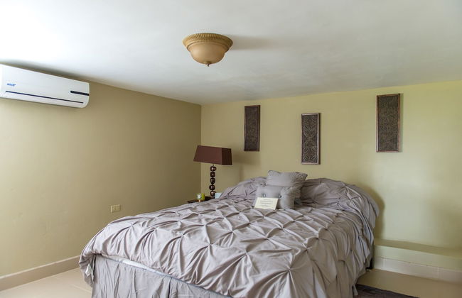 Hartland Sunshine - Foto 3