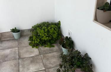 La terraza de la subbética - Foto 12