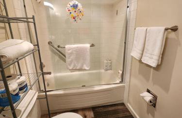 2B 1Ba 300Night 1B 1Ba 150Night - Foto 7