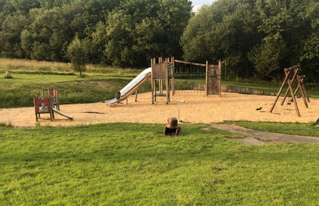 Nuthatch Lodge is set in 24 Acres of Wood, Parkland Near the Village of Cenarth - Photo 22