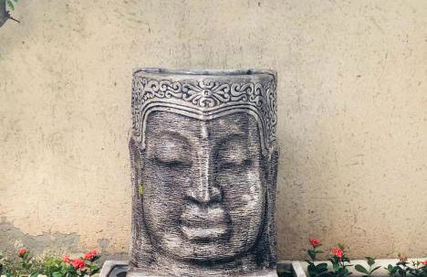 Shiva Guest House - Foto 46