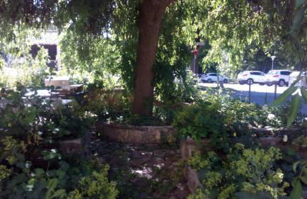 Villa Wilmarie - Zuhause auf Zeit in herzlicher Atmosphäre - Foto 23