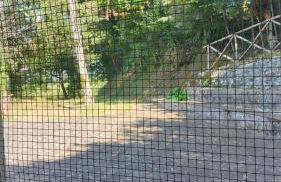 Holiday Country House - Trecchina - Foto 30