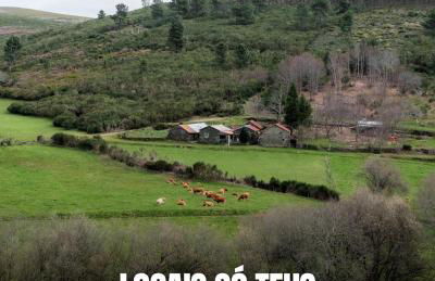 Dona Irene AL - Foto 66