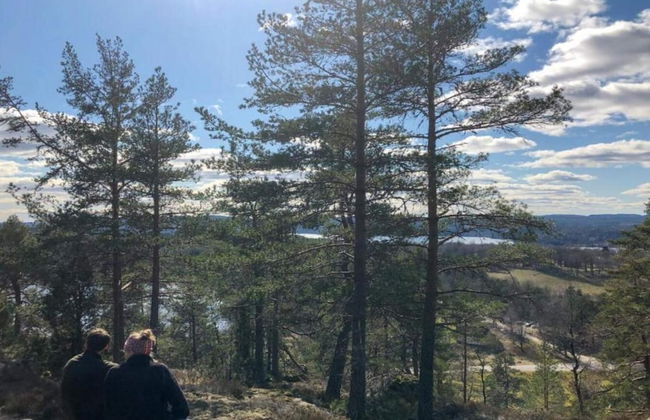 4 Person Holiday Home in Ulfborg-by Traum - Photo 8