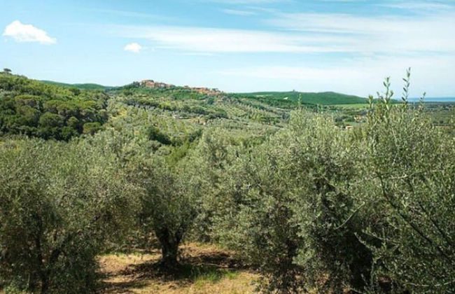 Snug Holiday Home in Castagneto Carducci near Thermal Bath - Foto 33