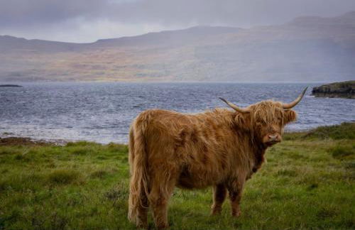 Royal Apartment - Foto 33