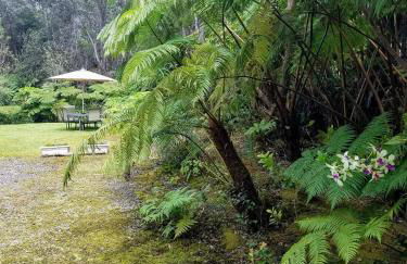 'Ama'u Lani Cottage - Foto 18