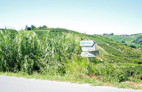 Profumo di Vigna - Roero - Foto 68