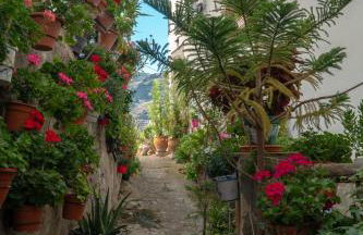 Alojamientos Rurales Los Macabes - Foto 35