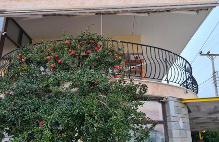 Villa George - Family Holidays - Foto 18