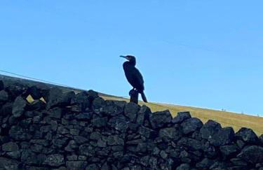 Garden Retreat - Foto 18