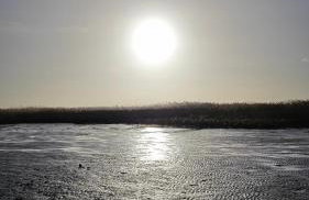 Ferienhaus am Gutspark 3, Klausdorf, ca 250 m bis zur Badestelle - Foto 28