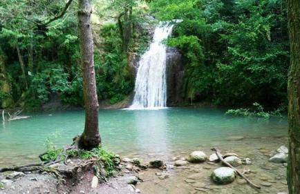 Masía De La Garrotxa - Foto 57