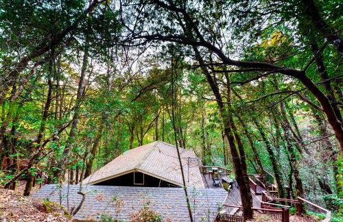 The Lazy Bear - Foto 20