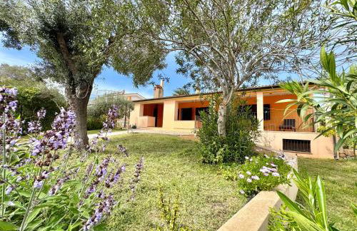 Sunrise Terrace - Foto 1