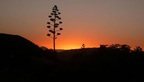 Casa Cueva El Molino By Artenatur - Foto 4