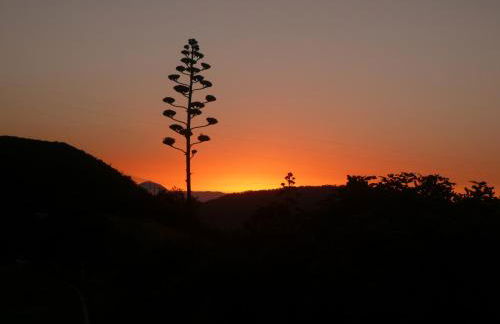 Casa Cueva El Molino By Artenatur - Foto 4