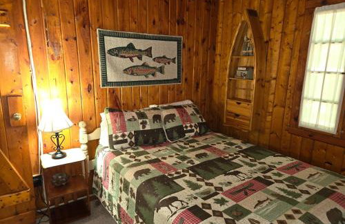 Lake Access! Twin Birch Resort - The Brown Bear - Foto 34