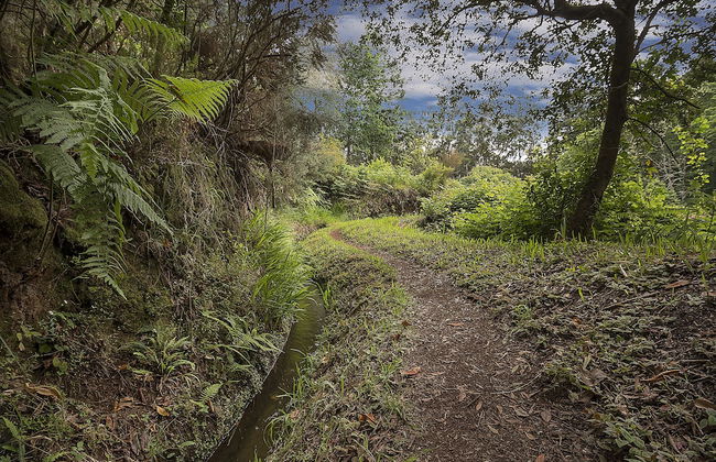 Plateau House - Foto 15