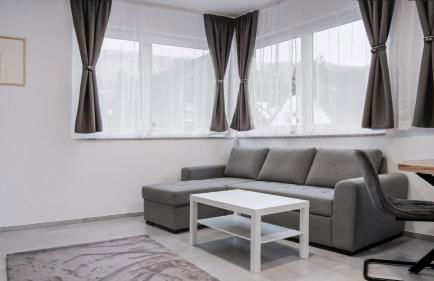 Moderne Apartments Saarbrücken mit Parkplatz - Foto 7