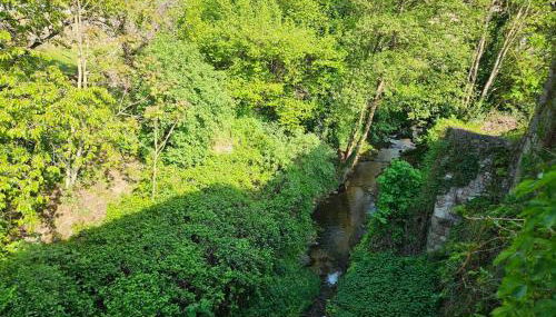 Appartement Malleval Chez Jeanne - Foto 2