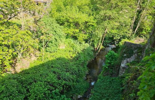 Appartement Malleval Chez Jeanne - Foto 2