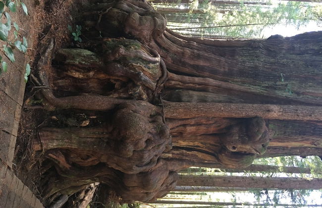 The Great Escape Secluded with Hot Tub - Foto 43