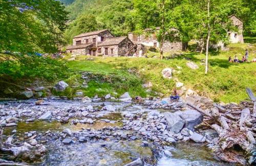 Il GLICINE - Foto 51