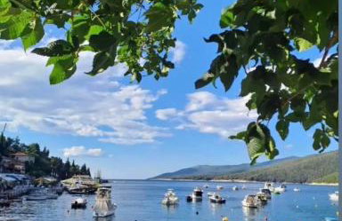 Apartment H&A - Foto 24