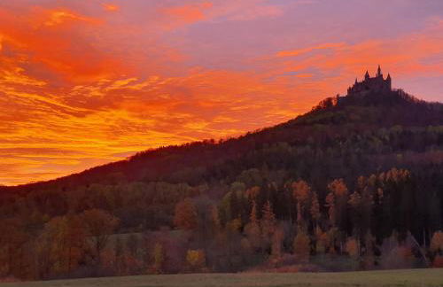 Ferienwohnung Rabus - Foto 24