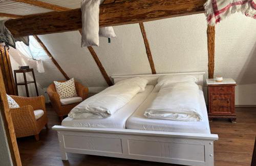 Anno 1886 - Knepp-Hänel-Haus - Foto 25