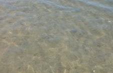 Lucy teles - Foto 20