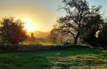 La vida sin reloj a un paseo de la playa - Foto 14