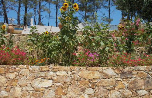 Casa do Cabril - Foto 34