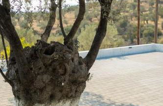 Domus Villa - Foto 17