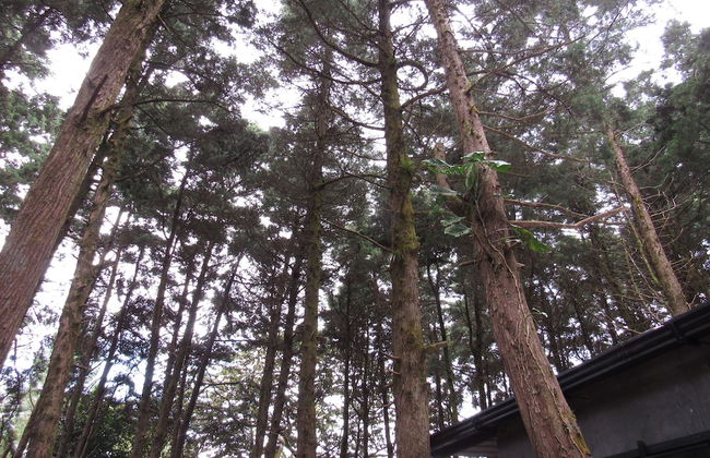 Ataco Luxury Cabin - Foto 7