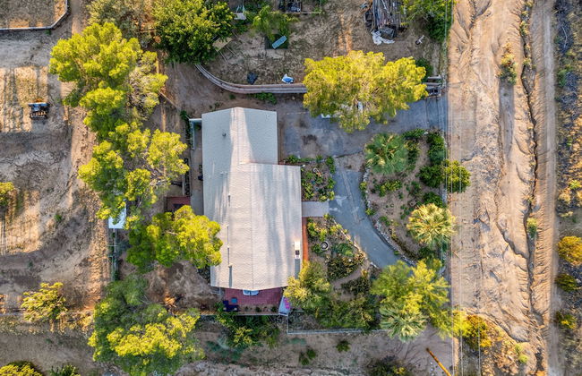 The Juniper - Foto 56